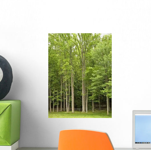 Fence and Forest Wall Decal