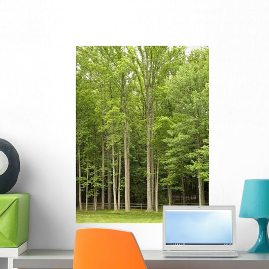 Fence and Forest Wall Decal