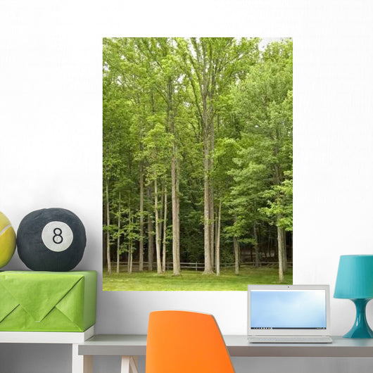 Fence and Forest Wall Decal