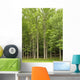 Fence and Forest Wall Decal