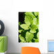 Lemon Balm Wall Decal
