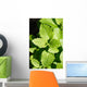 Lemon Balm Wall Decal