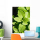 Lemon Balm Wall Decal