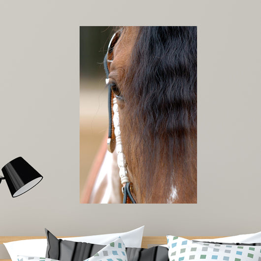 Horse Portrait Wall Decal