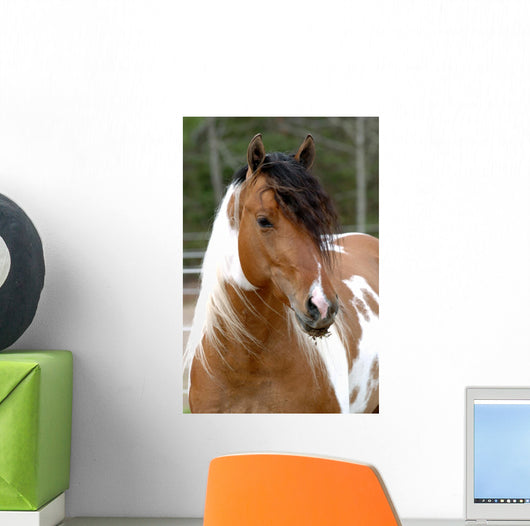 Cheval Pie Wall Decal