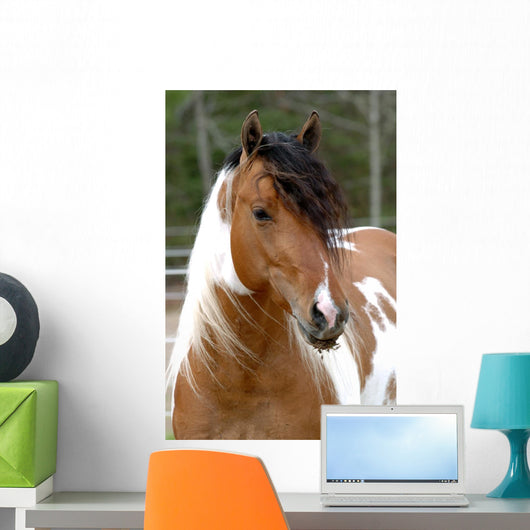Cheval Pie Wall Decal