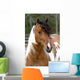 Cheval Pie Wall Decal