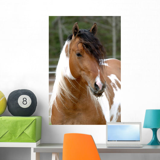 Cheval Pie Wall Decal