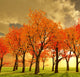 Beautiful Autumn Wall Decal