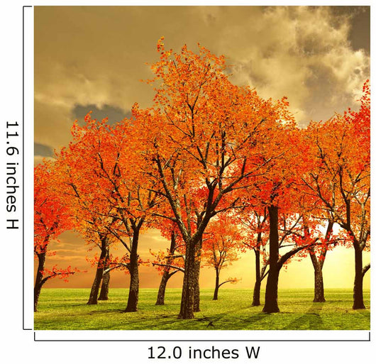 Beautiful Autumn Wall Decal