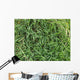 Grass Wall Decal