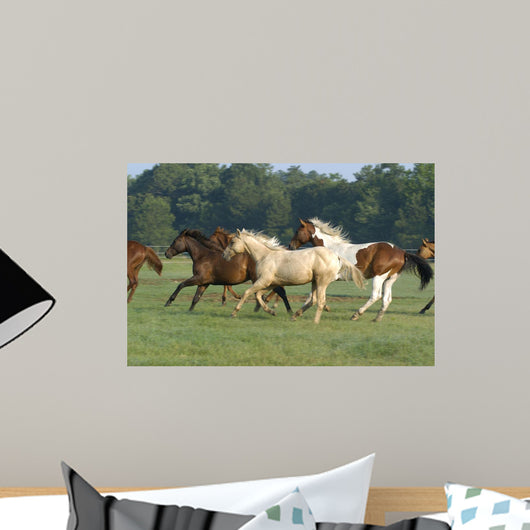 Galloping Horses Wall Decal