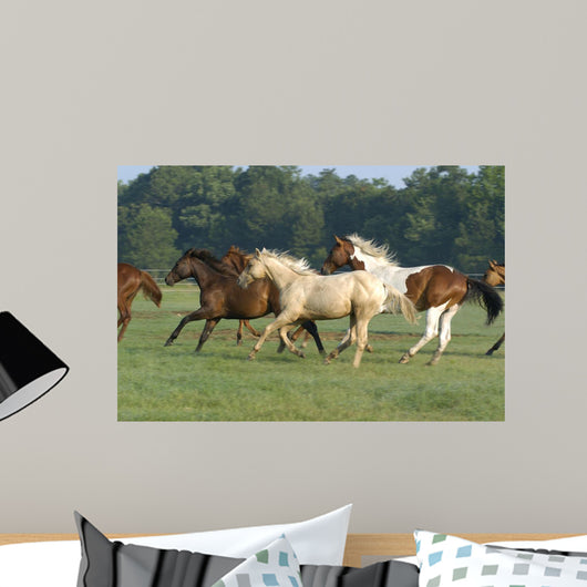 Galloping Horses Wall Decal