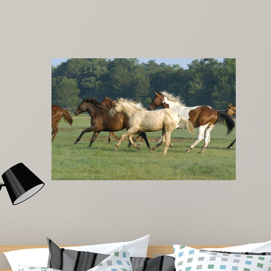 Galloping Horses Wall Decal