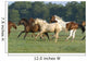 Galloping Horses Wall Decal