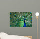 Beautiful Male Indian Peacock Wall Decal