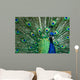 Beautiful Male Indian Peacock Wall Decal