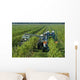 Harvest Automated Friuli Wall Decal
