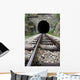 Railroad and Tunnel Wall Decal
