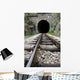 Railroad and Tunnel Wall Decal