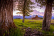 Grand Teton Mountains, Wyoming. Wall Mural