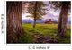 Grand Teton Mountains, Wyoming. Wall Mural