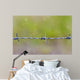 Barbed Wire Wall Decal