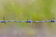 Barbed Wire Wall Decal