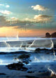 Global Warming Wall Decal