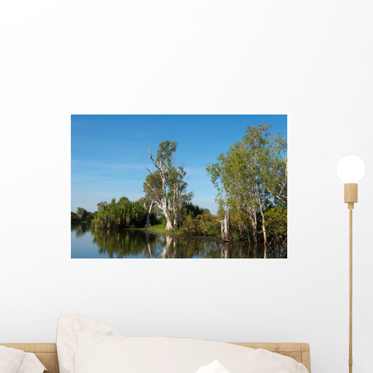 Parc National de Kakadu Wall Mural