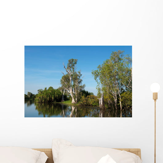 Parc National de Kakadu Wall Mural