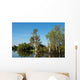 Parc National de Kakadu Wall Mural