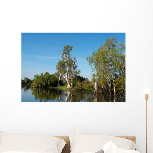 Parc National de Kakadu Wall Mural