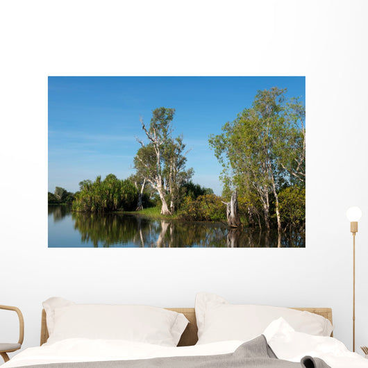 Parc National de Kakadu Wall Mural