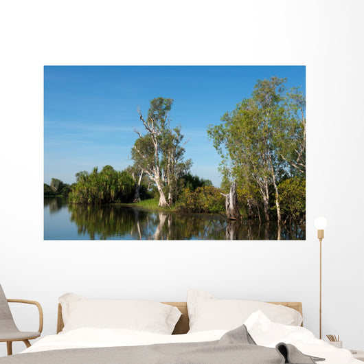 Parc National de Kakadu Wall Mural