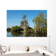 Parc National de Kakadu Wall Mural