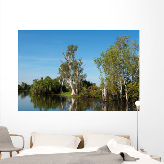 Parc National de Kakadu Wall Mural