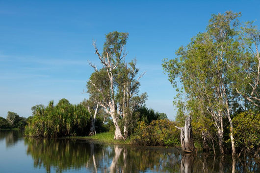 Parc National de Kakadu Wall Mural