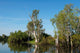 Parc National de Kakadu Wall Mural