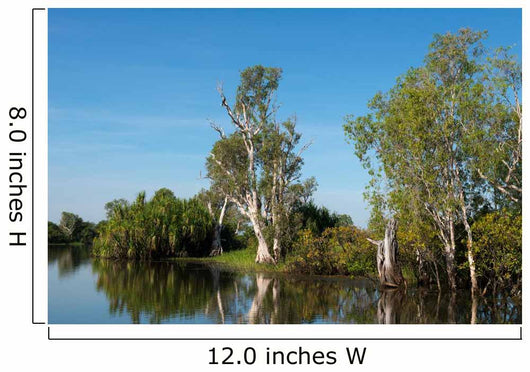 Parc National de Kakadu Wall Mural
