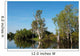 Parc National de Kakadu Wall Mural
