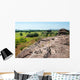 Parc National de Kakadu Wall Mural