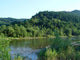 The river Wall Mural