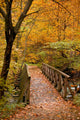 Autumn Scenery with Bridge Wall Decal