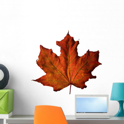 Fall Maple Leaf Wall Decal shown on a wall