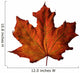 Fall Maple Leaf Wall Decal