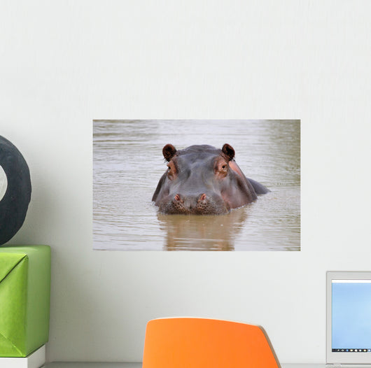 hippo Wall Mural