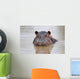 hippo Wall Mural