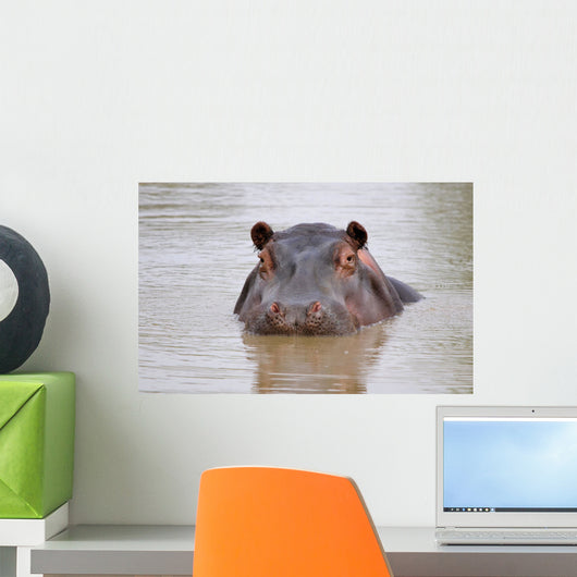 hippo Wall Mural