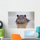 hippo Wall Mural
